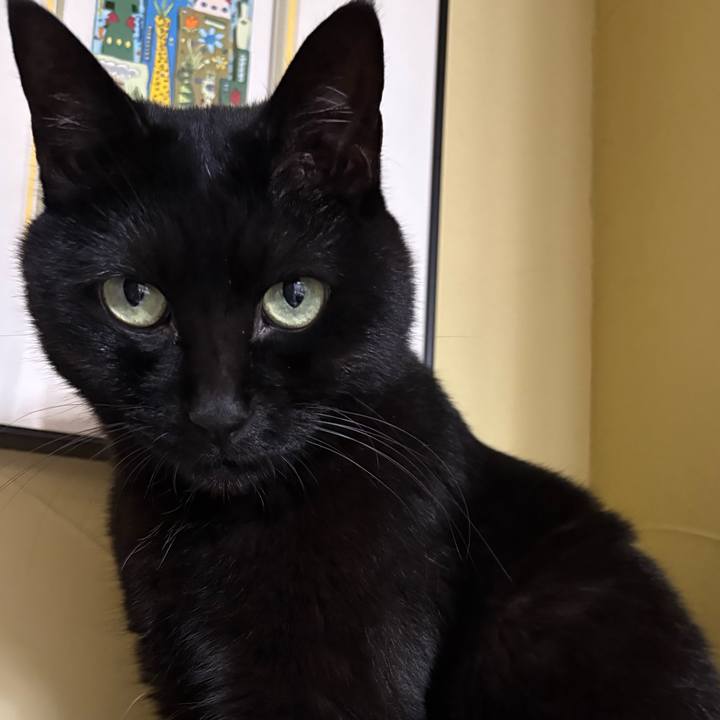 38eb0c68 bf2b 4cc1 90f6 3594f5c32c9d 1757896877950