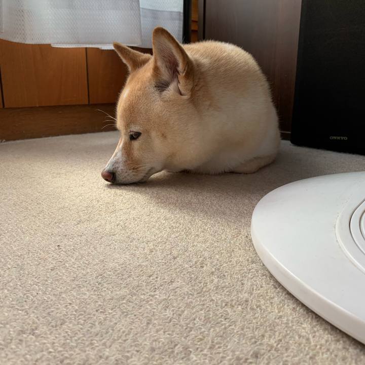 38eb0eaf 951d 40ec a7d2 e8a090d1374a 1632102819290