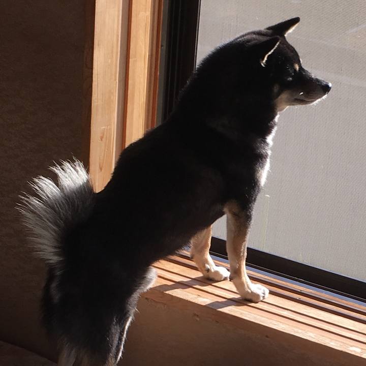 38eb1e8d 6b1c 445a 988f 185f00b00b12 1509078972066