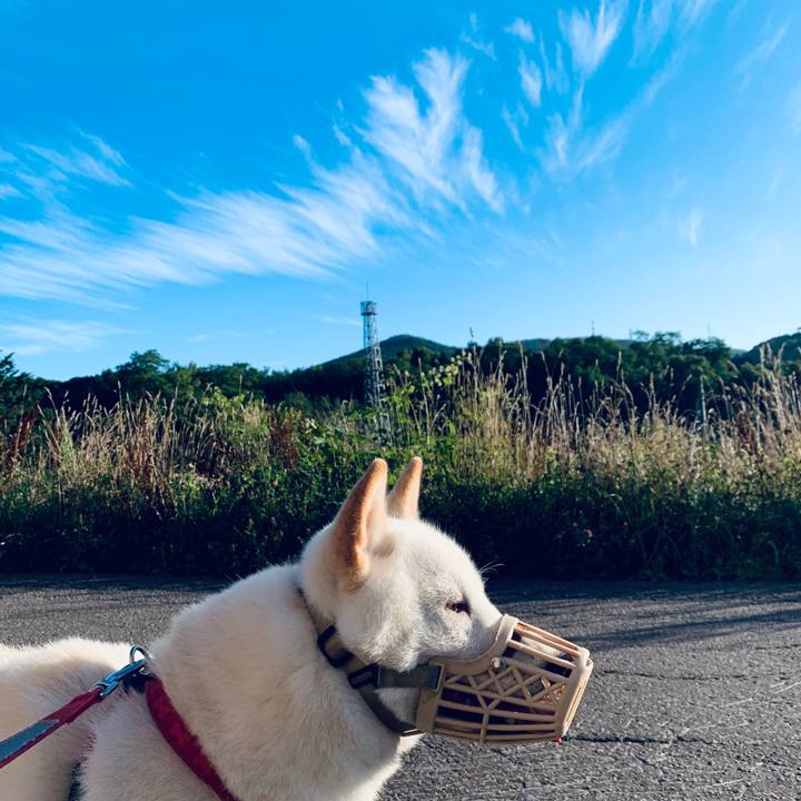 38eb46fd fa57 49c7 93ee 6b00fbc6b74a 1565819124421