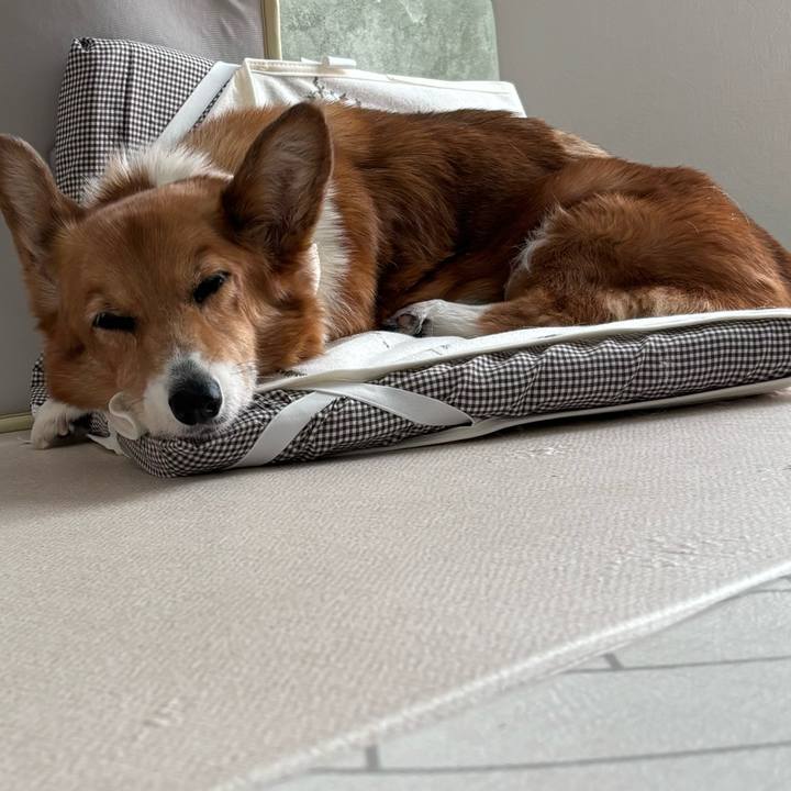 38eb7348 9897 4749 b714 dab432e194fc 1755134584838