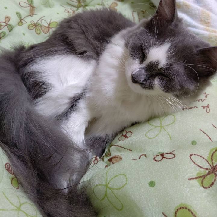 38eb7e49 6a3d 4af0 8226 30d6608e3576 1570968640347