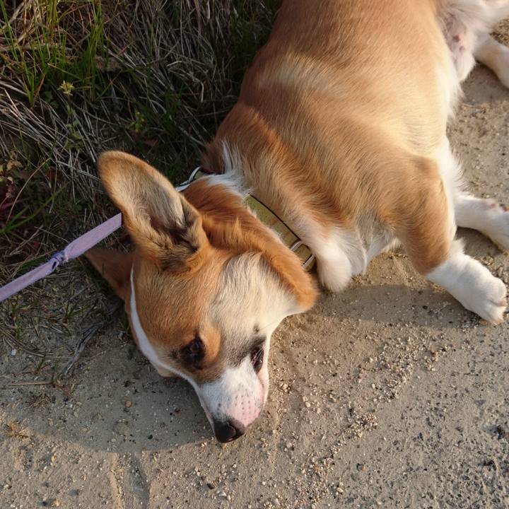 38ebf1d9 5377 4988 84f2 966edbf1e97a 1587265849705