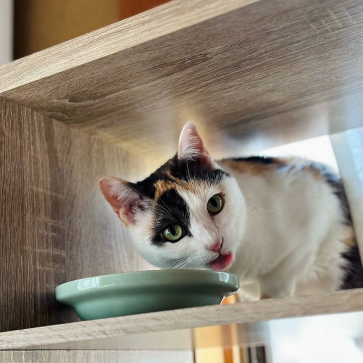 38ec11b6 9688 4e2a bdff 9aa4c1b2b62c 1716089577149