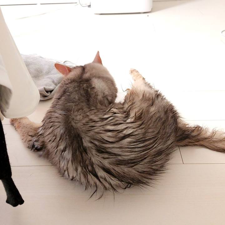 38ec41f1 5524 4015 9704 cf02e2576c74 1714547940885