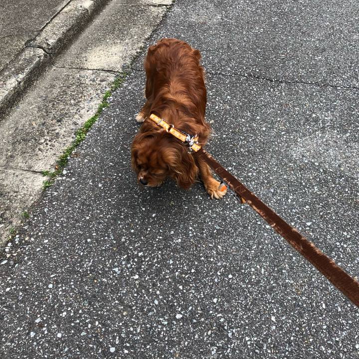 38ec5c4e 0c7c 4658 aef5 509b598f66ba 1617414978909