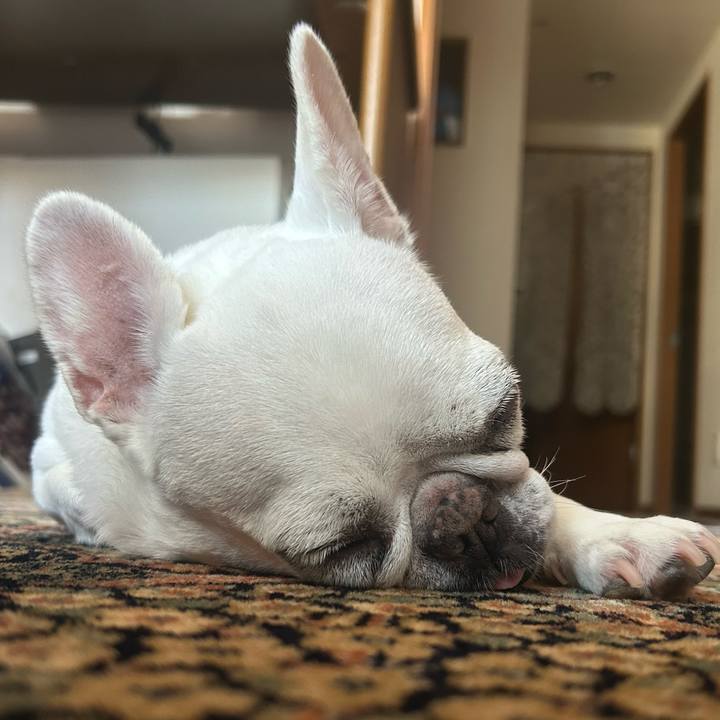 38ec7898 bbb4 474a a019 6950903b7e5e 1727873220324