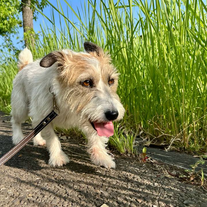 38ec8761 9871 4da3 a115 4032127d88ce 1752164291325