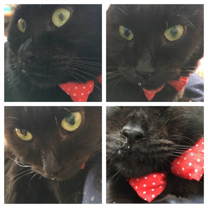 38ecbcc3 648c 4c6c 9d72 4bd5d827d732 1547948280026