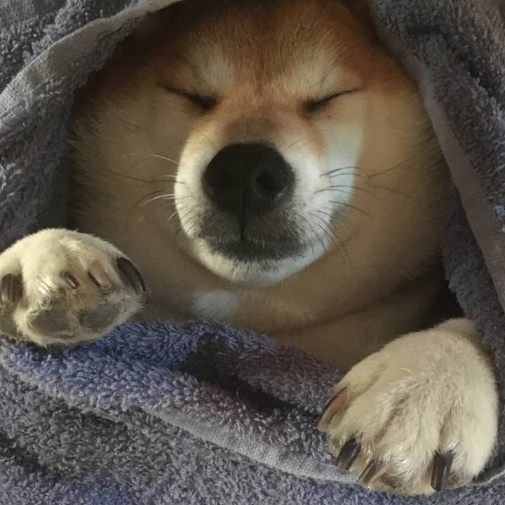 38ece02e feeb 469d bc31 e48815a03ee7 1597987037990