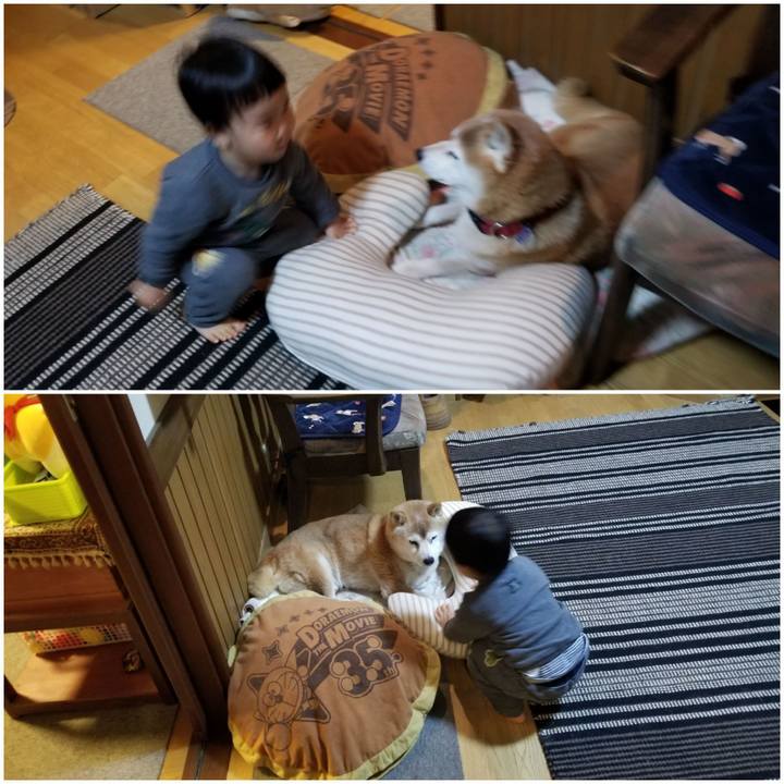 38ecf123 715c 4f30 bd81 dcdd6c13ad0f 1735551154284