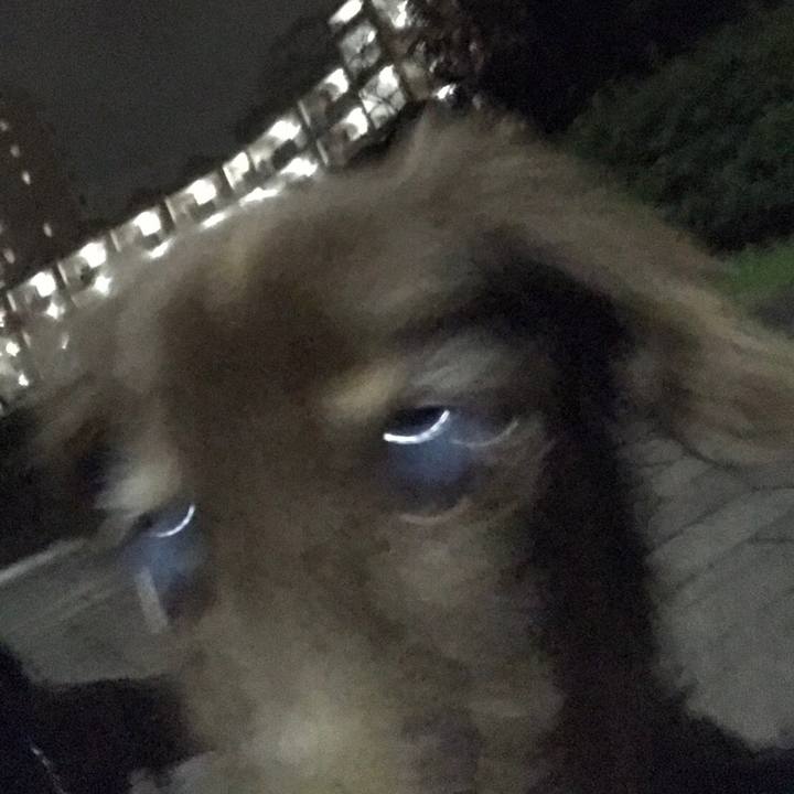 38ed010b fd76 4d17 8979 7281df27a91f 1539560507223