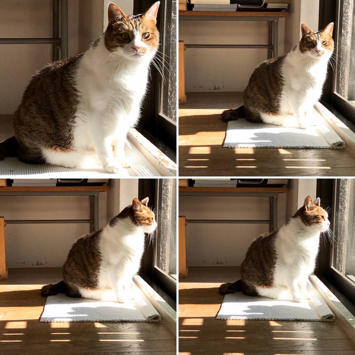 38ed0229 2b6a 40af abca e6764b067132 1574994800373