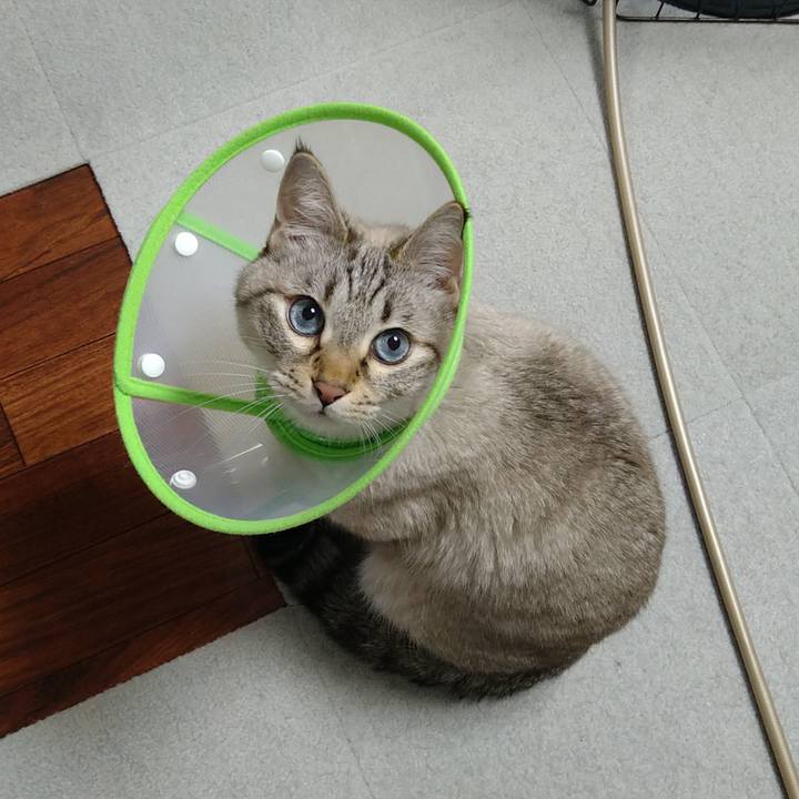 38ed25d3 39f4 4d4d bb3a 5ca003cf70b7 1734779648171