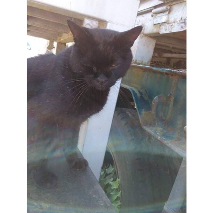 38ed28f7 7e33 4f05 9430 ea5cc2bdfa5d 1629435139037