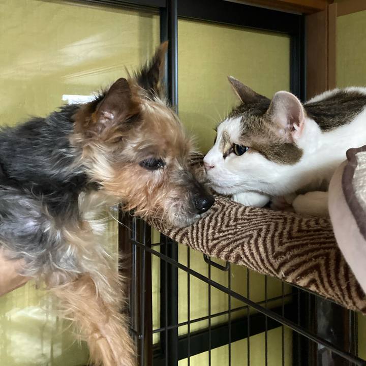 38ed3933 cc02 450d 8a3c 6c4ca85ca0d6 1692419032598