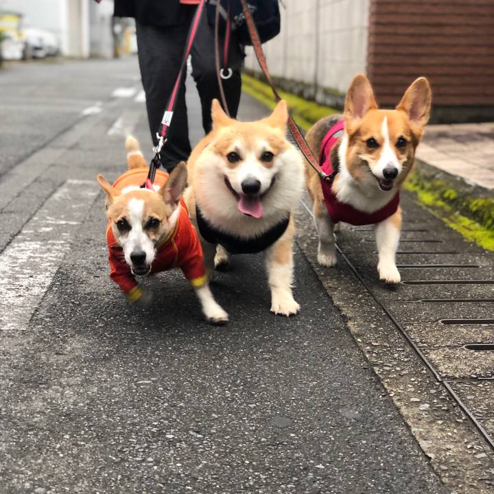 38ed70fd 4049 4fdf b180 e0e06657659e 1561510807666