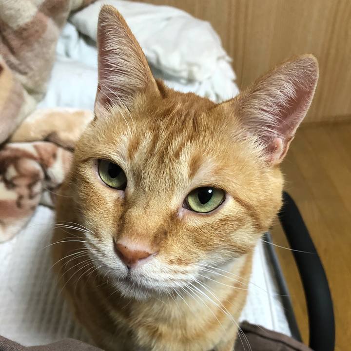 38ed73a6 ad21 47c4 b8eb 44e0cd3d4768 1602686667023