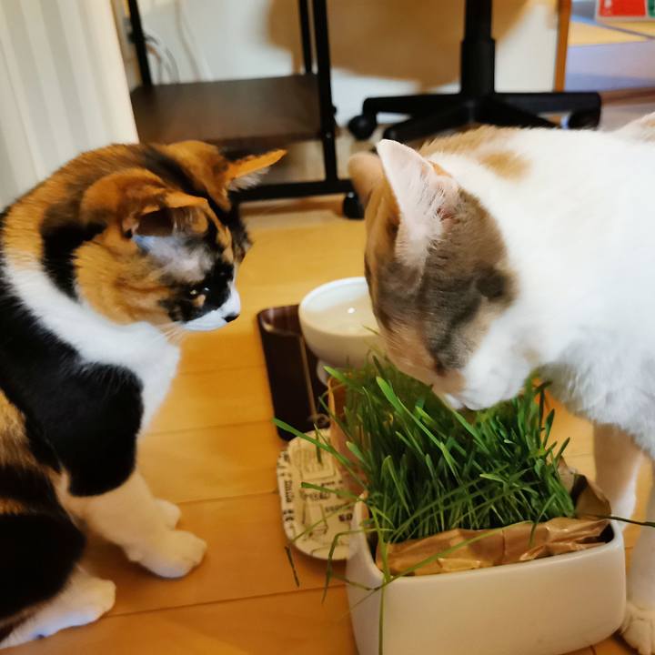 38edc0c5 3dea 4485 8e0b b68ea746781d 1652504611129