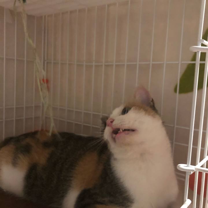 38eddd10 9ba9 4cc2 a5c1 c79dc2029d80 1574133786173