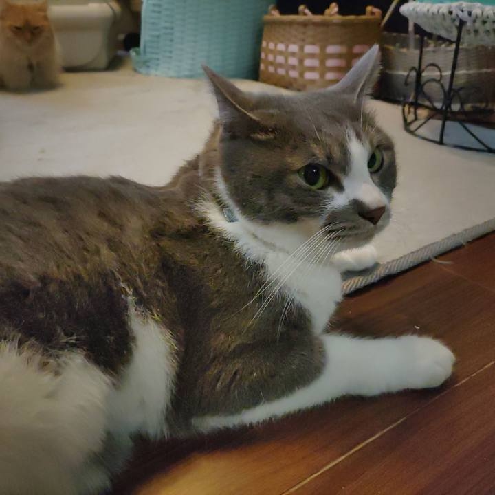 38ee0087 82fc 48b2 86bb d1fdbb38f417 1680472866783