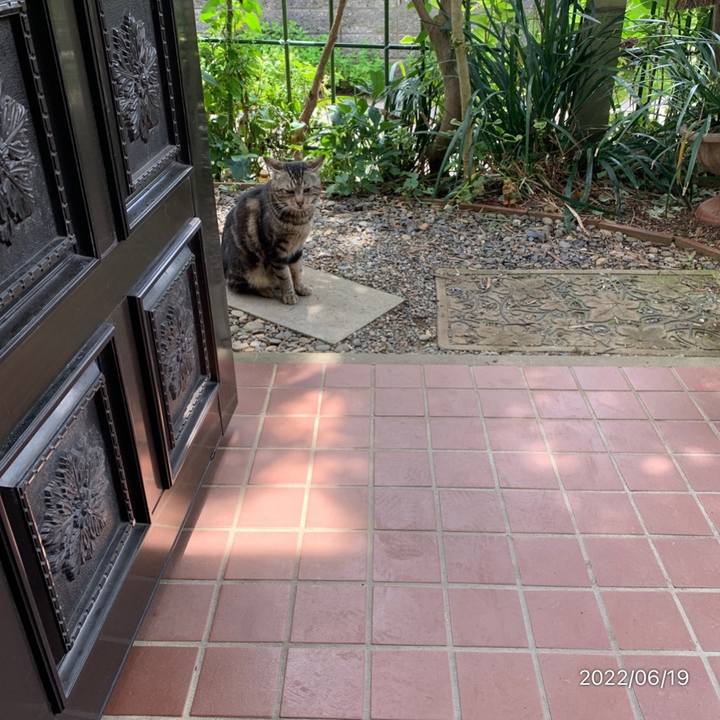 38ee085a 8a57 437d 9d29 451ce1eee324 1655613290183