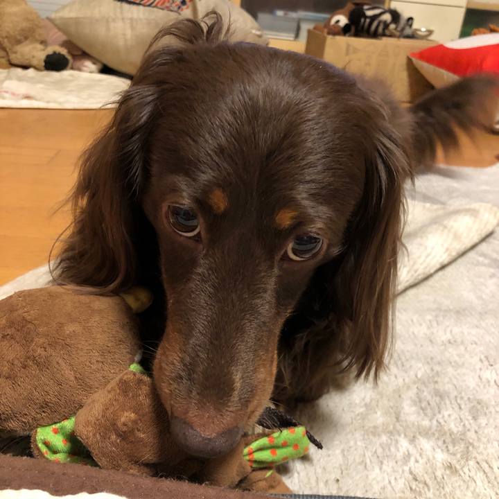 38ee0ac6 f274 4737 b041 3e1e0295ac57 1683023007348