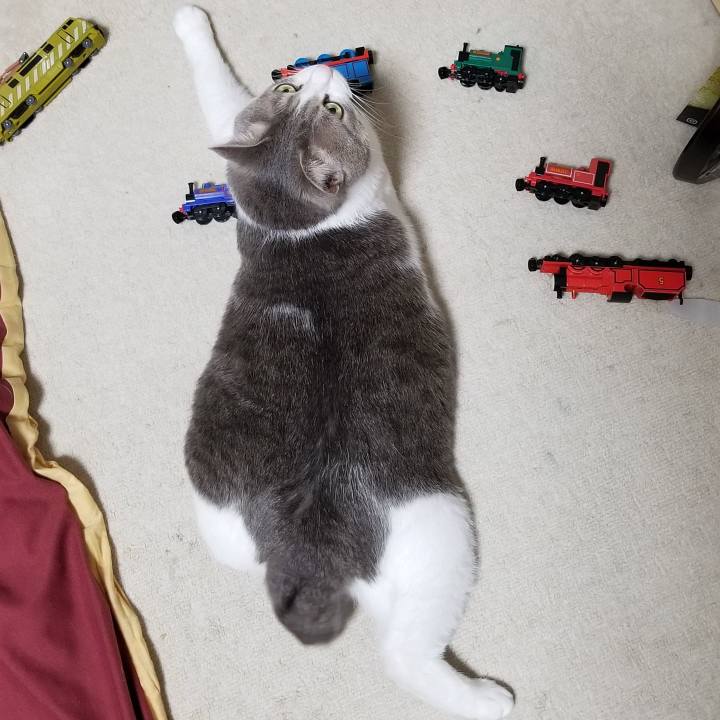 38ee2e23 a273 4ba5 ade7 7852716653f5 1542717816321