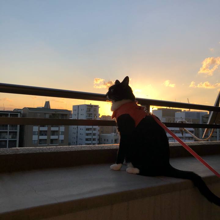 38ee74ab 2ce2 4279 ab08 eb30c8d3b35e 1538432303057