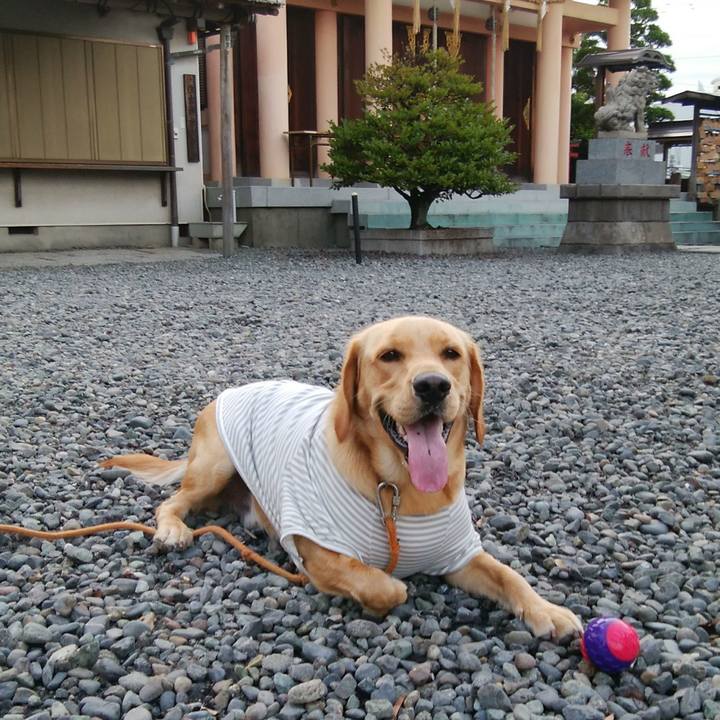 38ee8c33 facc 4c7c a981 5c981faec478 1529237659357