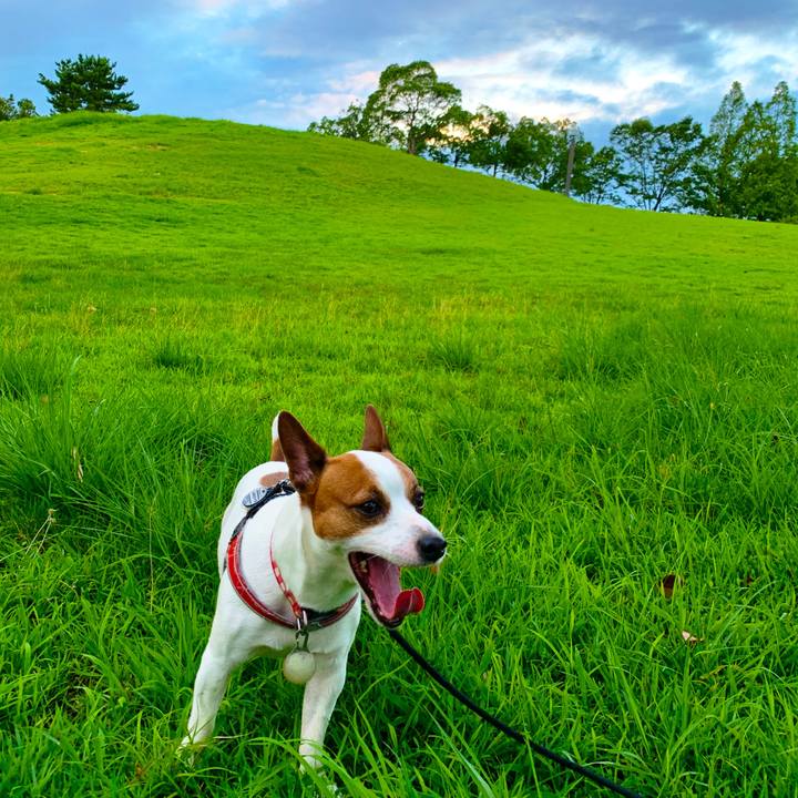 38ee8df4 db9b 4864 8f9e 95453a2da252 1564141278440