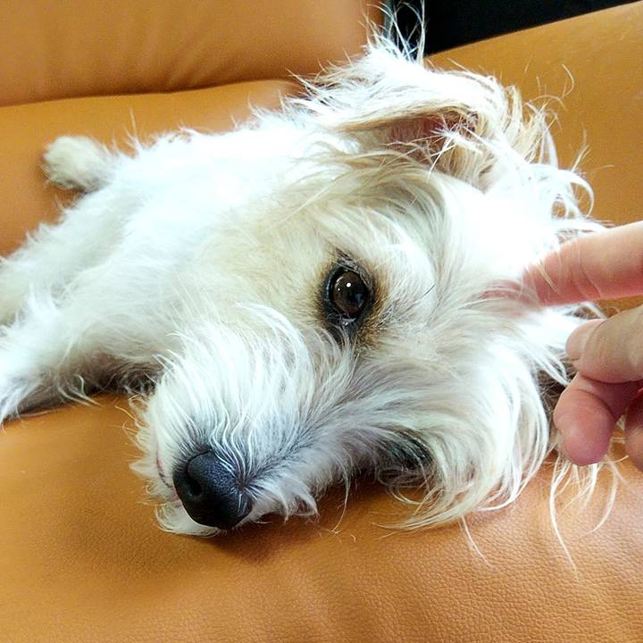 38eefede 69d0 4cc1 bede 2ccc253faf4b 1567320427394