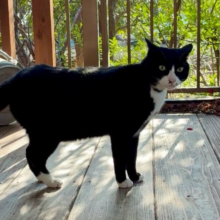 38ef1a1e 9fe8 4a99 aff0 68a035d0c74e 1768302348798