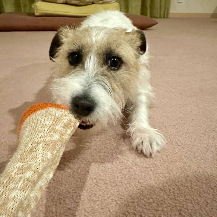 38ef3d01 2bc2 477f ba01 61454f51590a 1737804772897