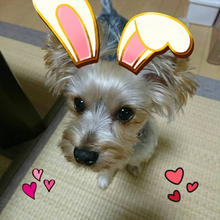 38ef4cf2 d1de 481d a124 83951a745473 1507727901852