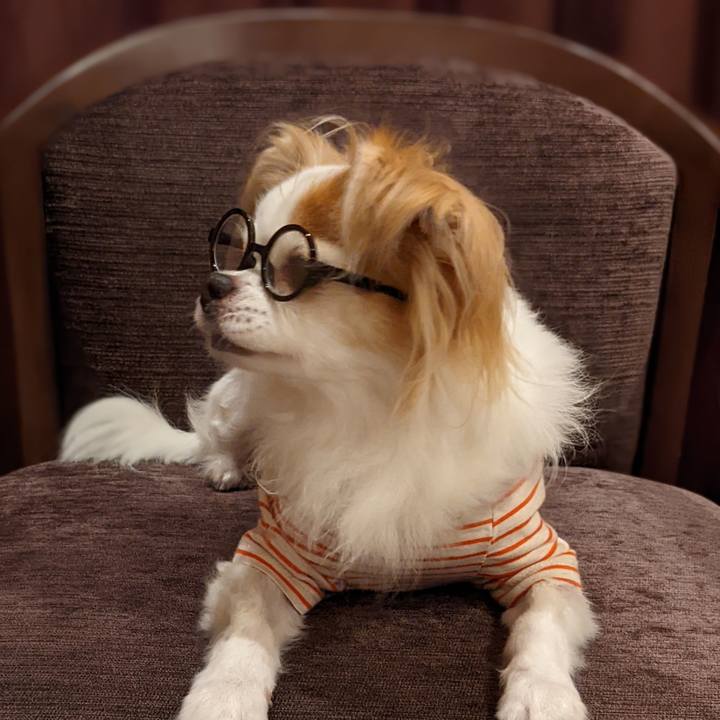 38ef5494 e6f1 4daa bb3e d537509f85dd 1663846803777