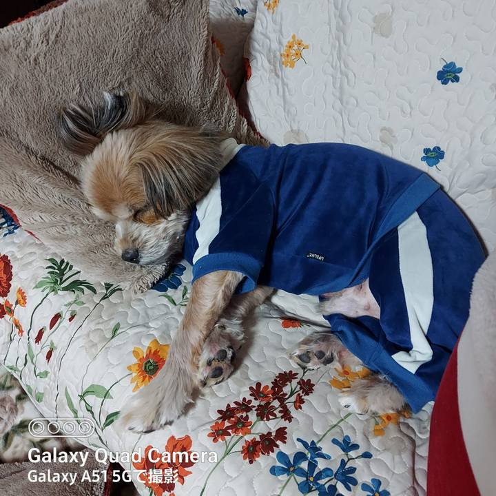 38ef64af 9078 4f47 ac0f 835902b36edc 1674225201601