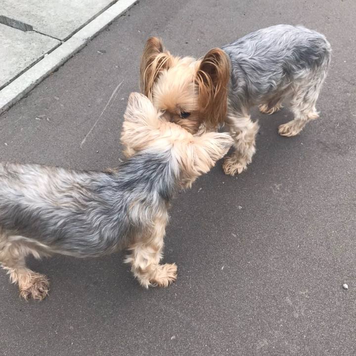 38efb525 1875 4e13 94df b2e6801e7d6e 1595929168457