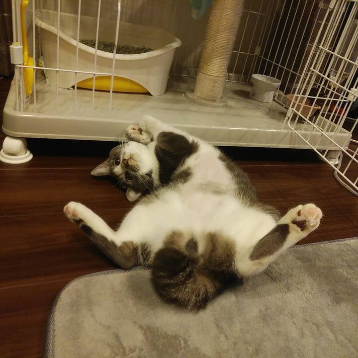 38efc530 f197 45e7 acbe ee37ffdc5d83 1587391700080