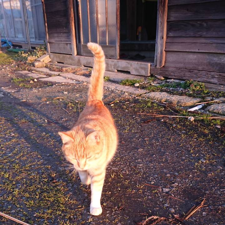 38efd5ff 9d7e 411b 8cb2 ec548f6ed57a 1585860838516