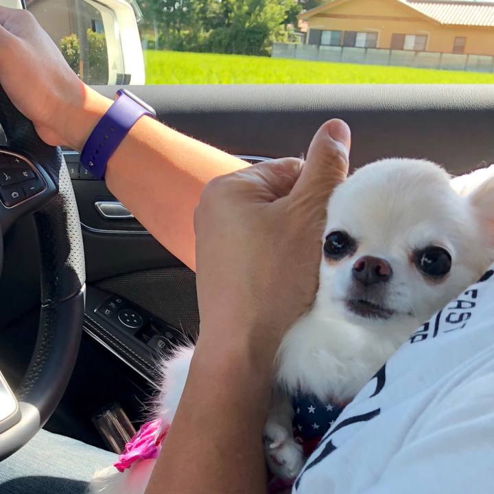 38effa06 9ffb 4738 9f08 2e09ae5c1211 1535267395810