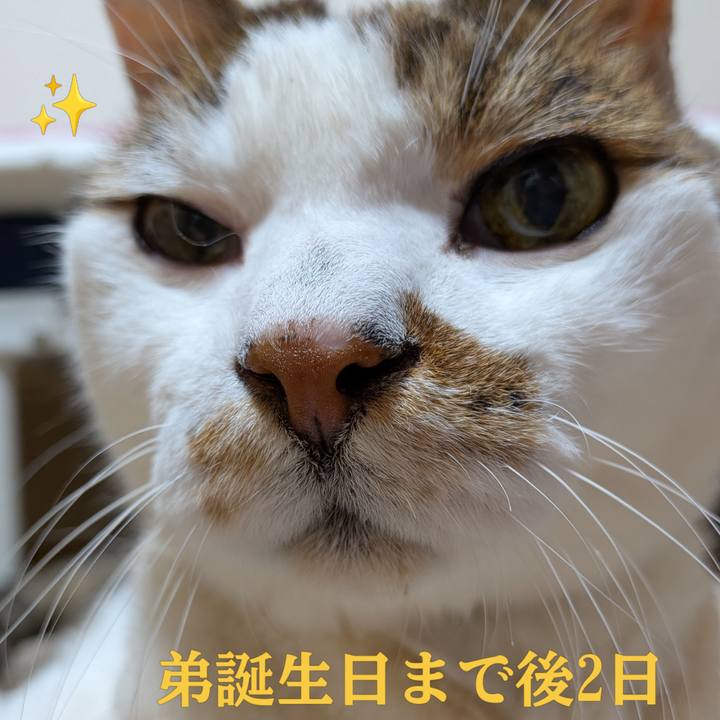 38f029ba cb37 4db8 bfb9 fdb04503a0d0 1792699551114