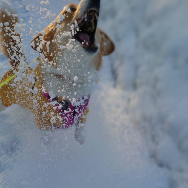 38f04397 61f2 4e9f a682 a989e0fee0df 1773013516635