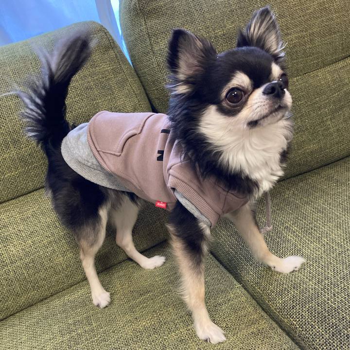 38f05382 232f 4031 8d63 753383396fd8 1674919526951