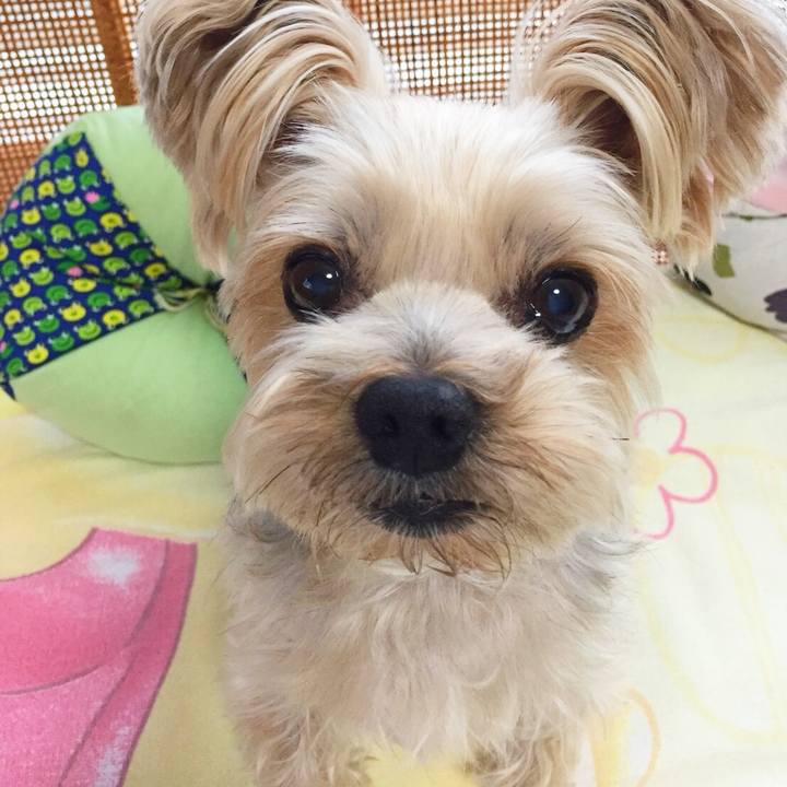 38f06d9f 5567 4135 9be6 7d28332f2848 1527675283426