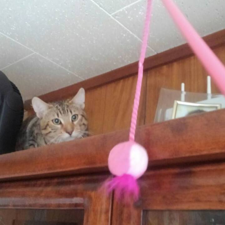 38f07c61 26cb 45b4 a907 6ada818a6759 1570201611862