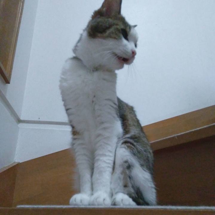 38f080a5 496a 4000 9016 6bd9c82da6f4 1532264941054