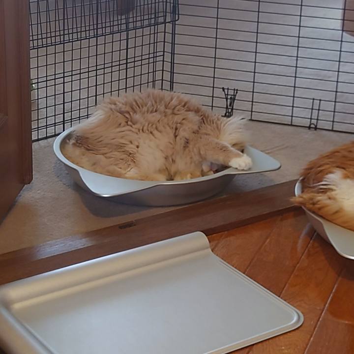 38f08948 5a02 4fbe a6b0 0ac980da3501 1657511444469