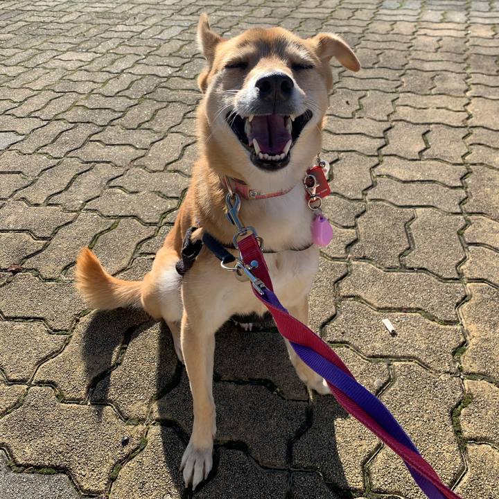 38f08e4d e343 4370 a6ea d3a9281726e0 1575366361284