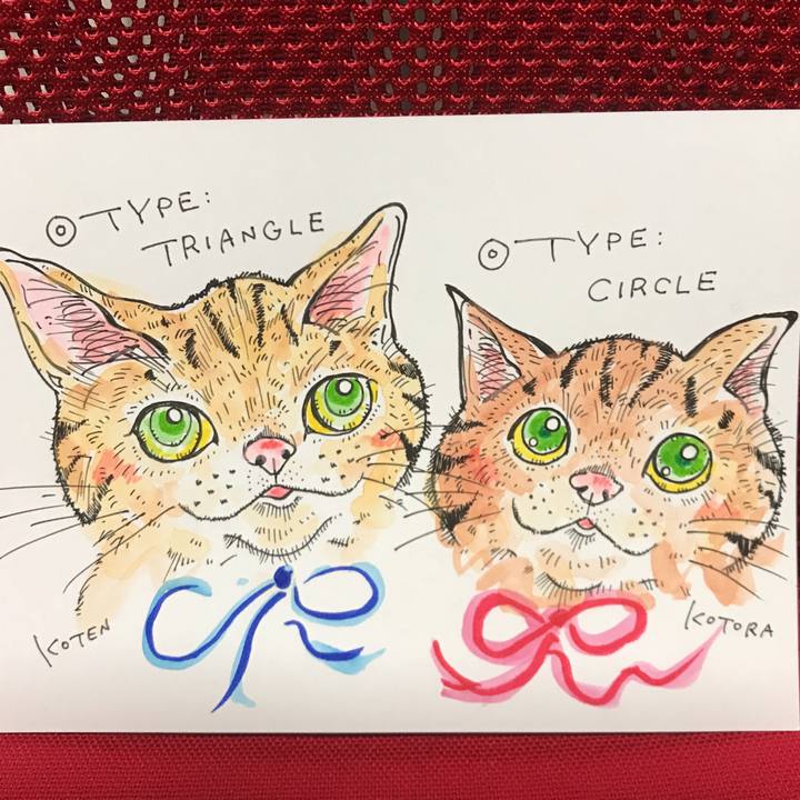 38f096d6 a665 42db 8969 268ad5237d74 1547645788439